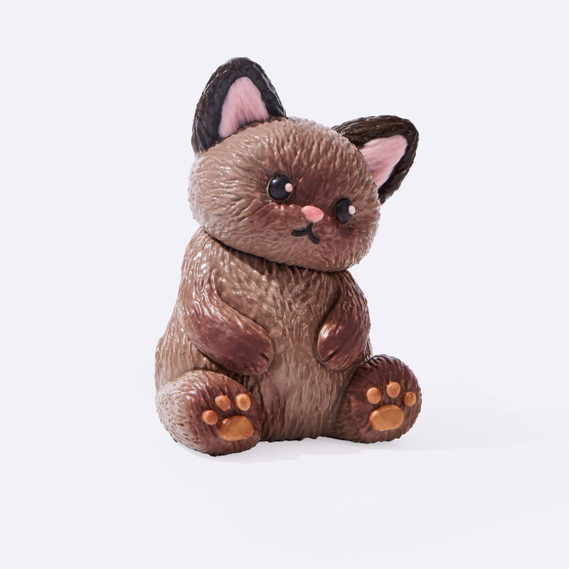 Brown Siamese Cat