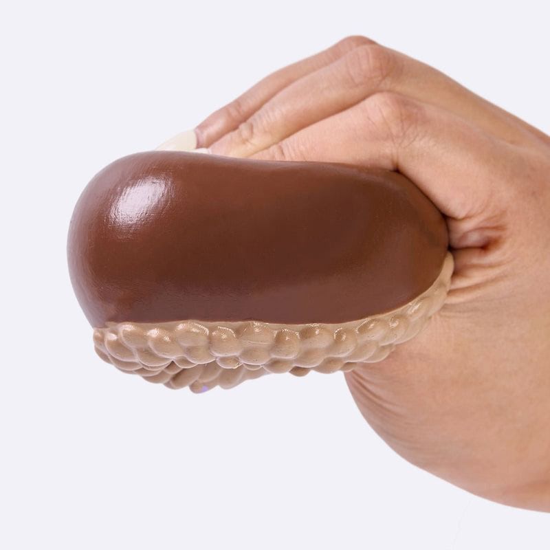 Alternative view of Aacorn Taba Squishy