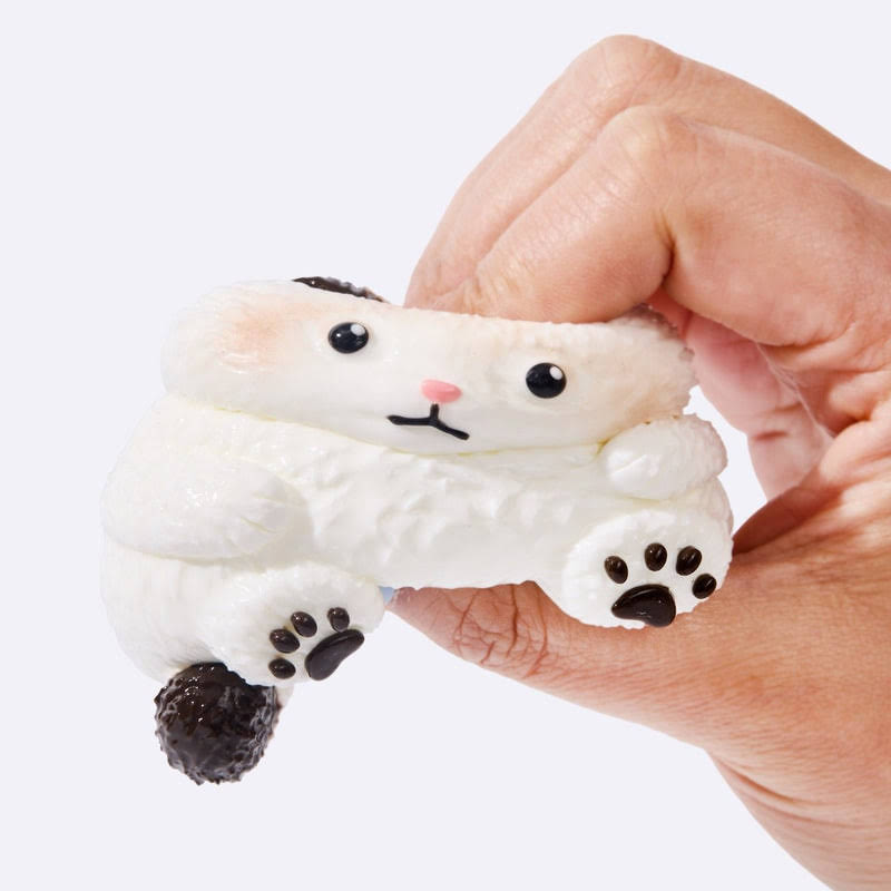 Alternative view of Chubby White Ragdoll Cat