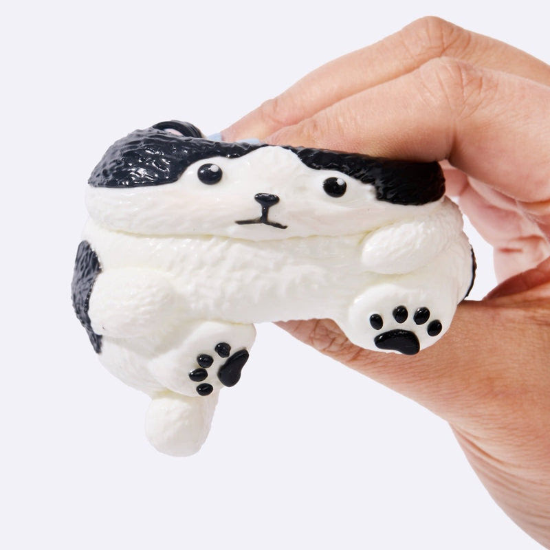 Alternative view of Chubby Tuxedo Cat