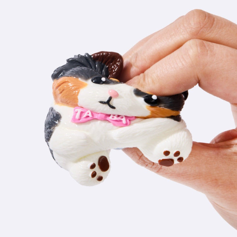 Alternative view of Border Collie